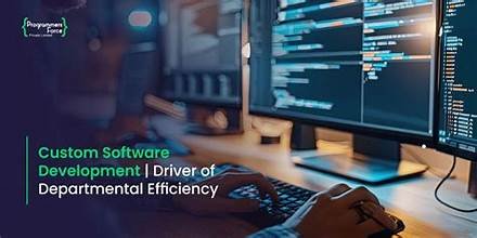 Custom vs. Off-the-Shelf Software